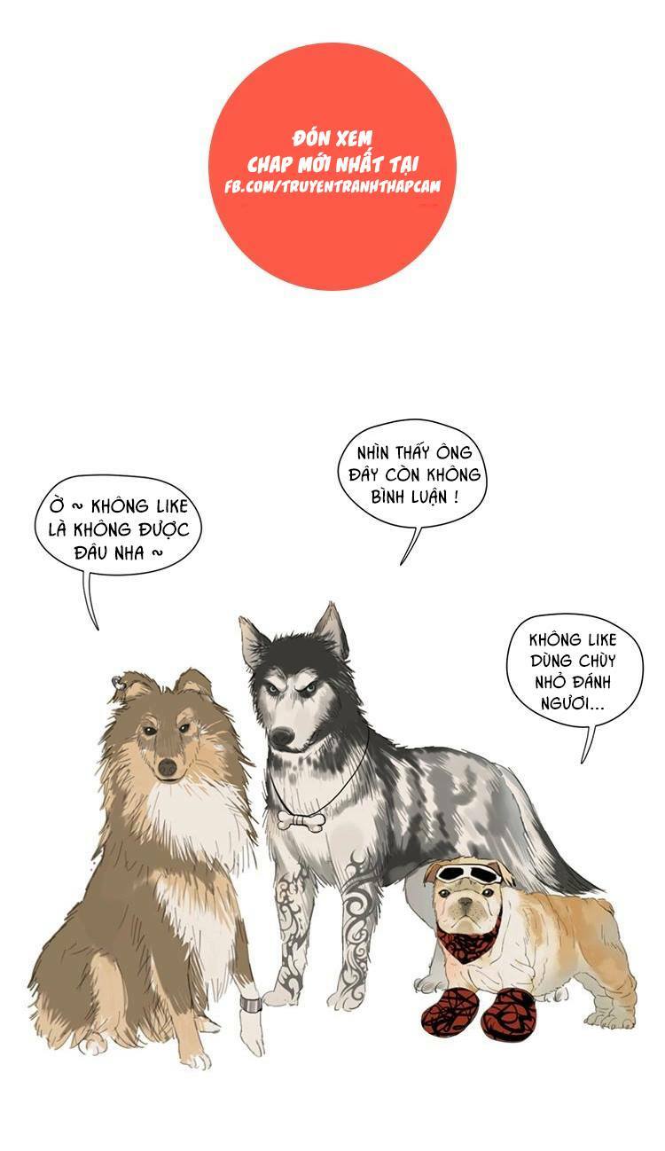 Cứu mạng ! Loài mèo thống trị thế giới rồi !: Chapter 6