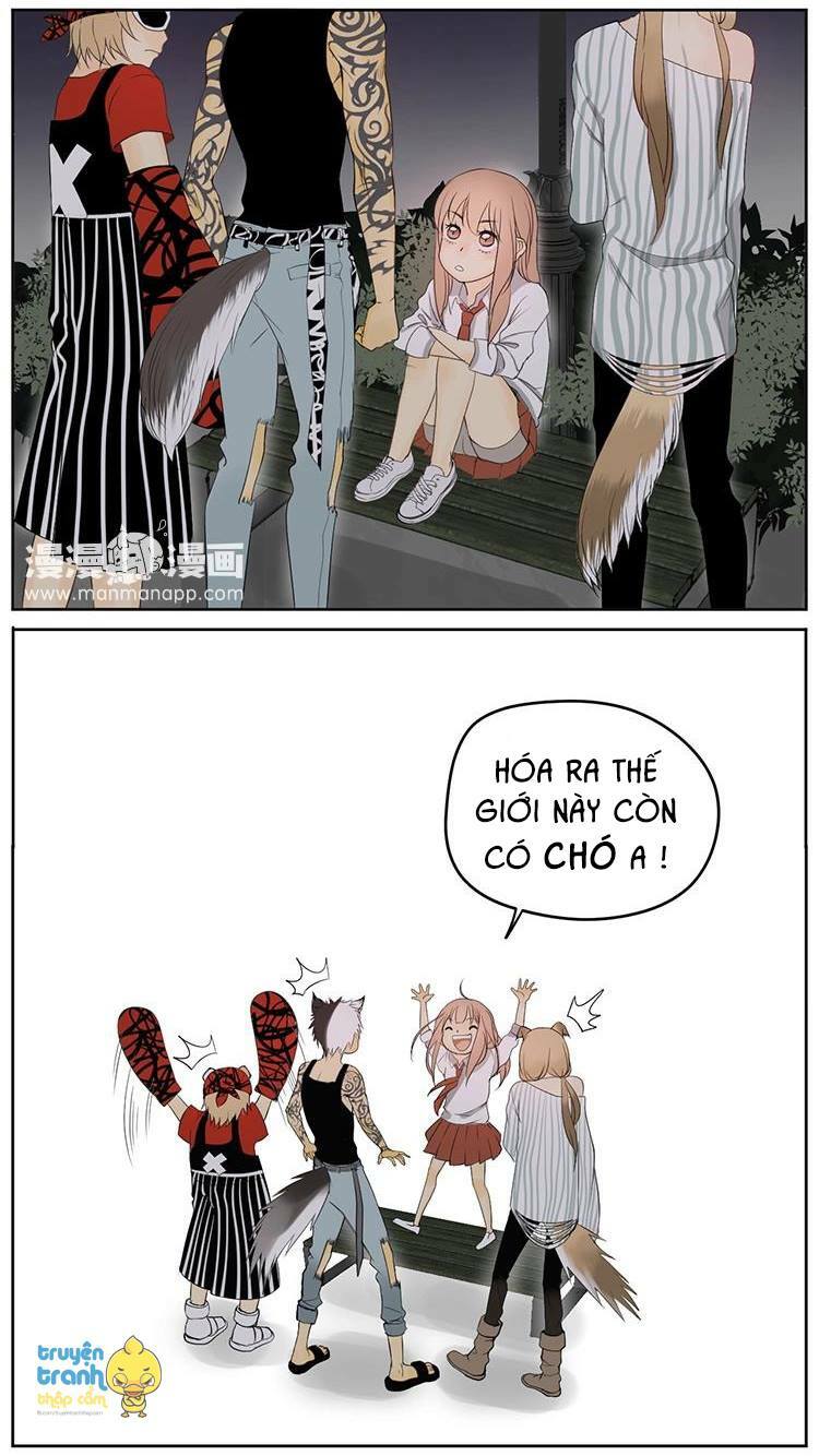 Cứu mạng ! Loài mèo thống trị thế giới rồi !: Chapter 6