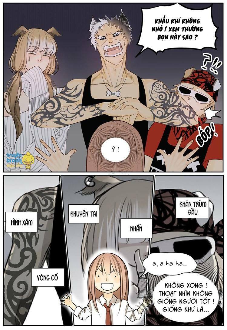 Cứu mạng ! Loài mèo thống trị thế giới rồi !: Chapter 6