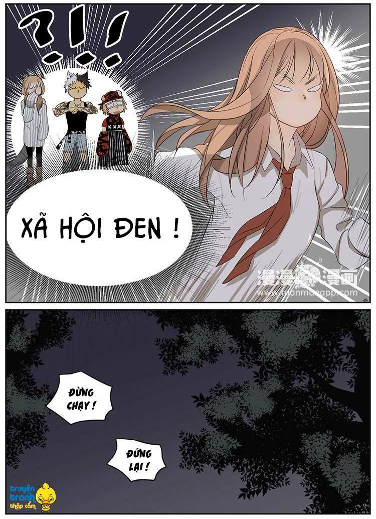 Cứu mạng ! Loài mèo thống trị thế giới rồi !: Chapter 6