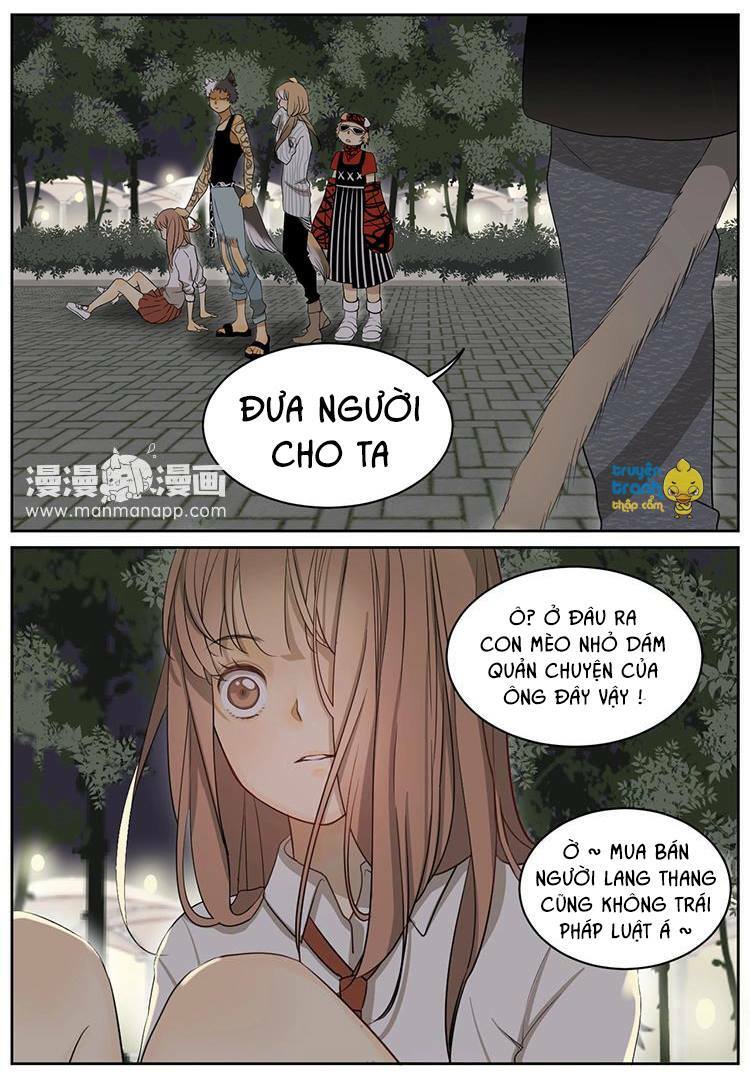 Cứu mạng ! Loài mèo thống trị thế giới rồi !: Chapter 6