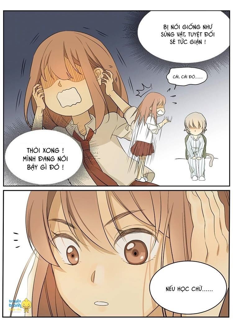 Cứu mạng ! Loài mèo thống trị thế giới rồi !: Chapter 8