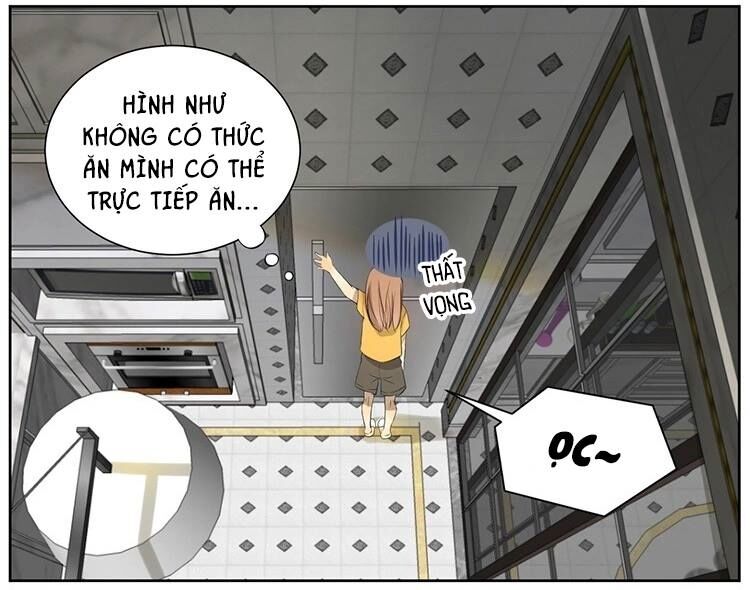 Cứu mạng ! Loài mèo thống trị thế giới rồi !: Chapter 9