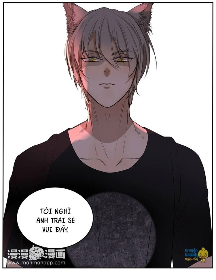 Cứu mạng ! Loài mèo thống trị thế giới rồi !: Chapter 9