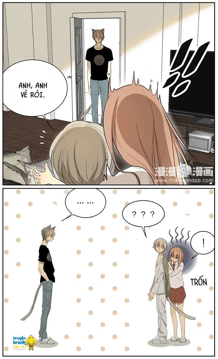 Cứu mạng ! Loài mèo thống trị thế giới rồi !: Chapter 9