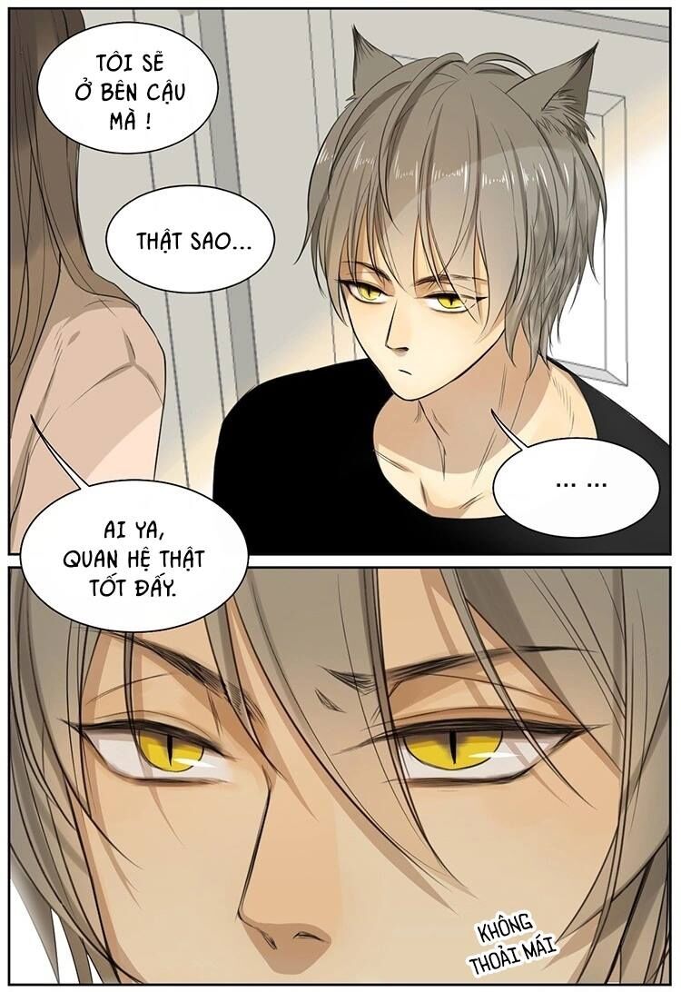 Cứu mạng ! Loài mèo thống trị thế giới rồi !: Chapter 9