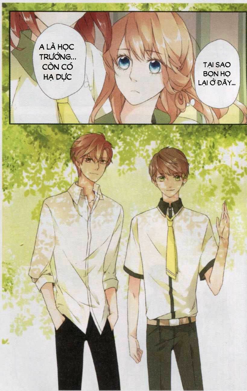 Tình yêu là màu hoa anh thảo: Chapter 2