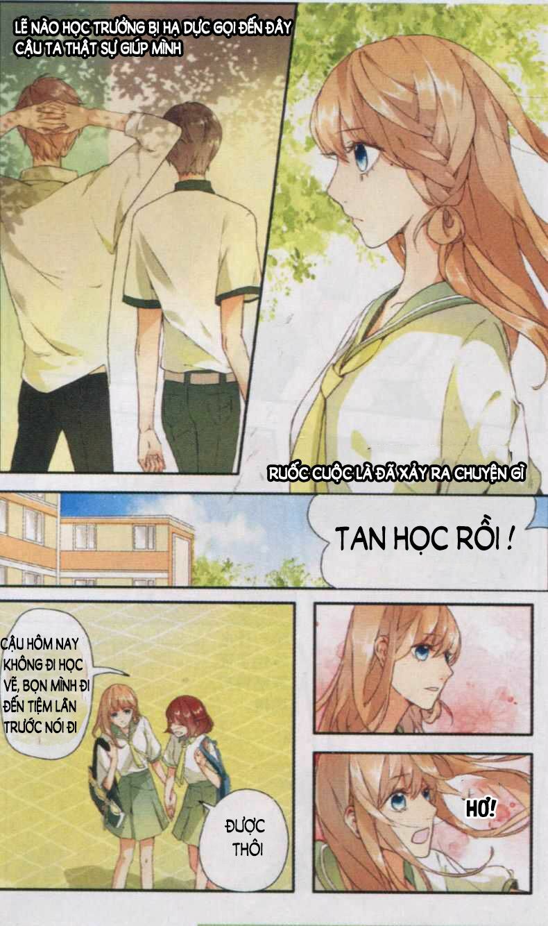 Tình yêu là màu hoa anh thảo: Chapter 2