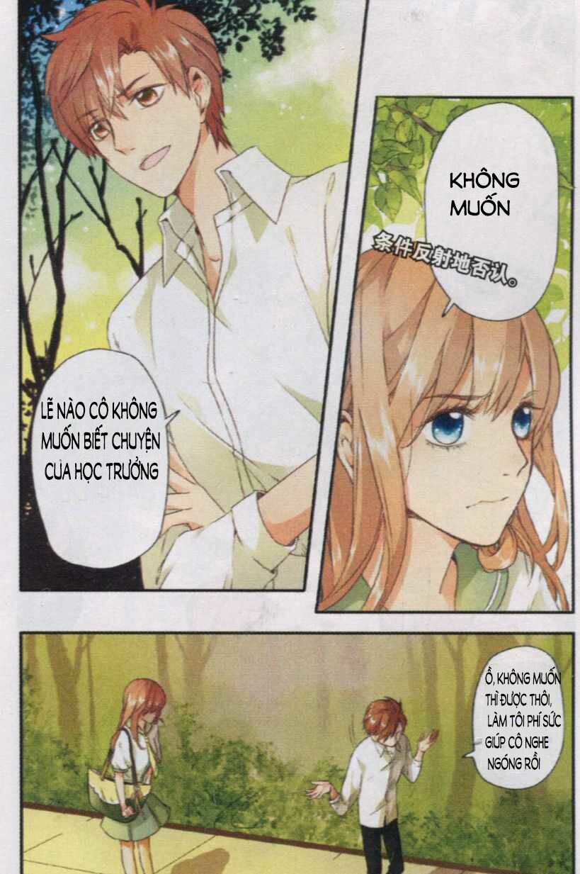 Tình yêu là màu hoa anh thảo: Chapter 2