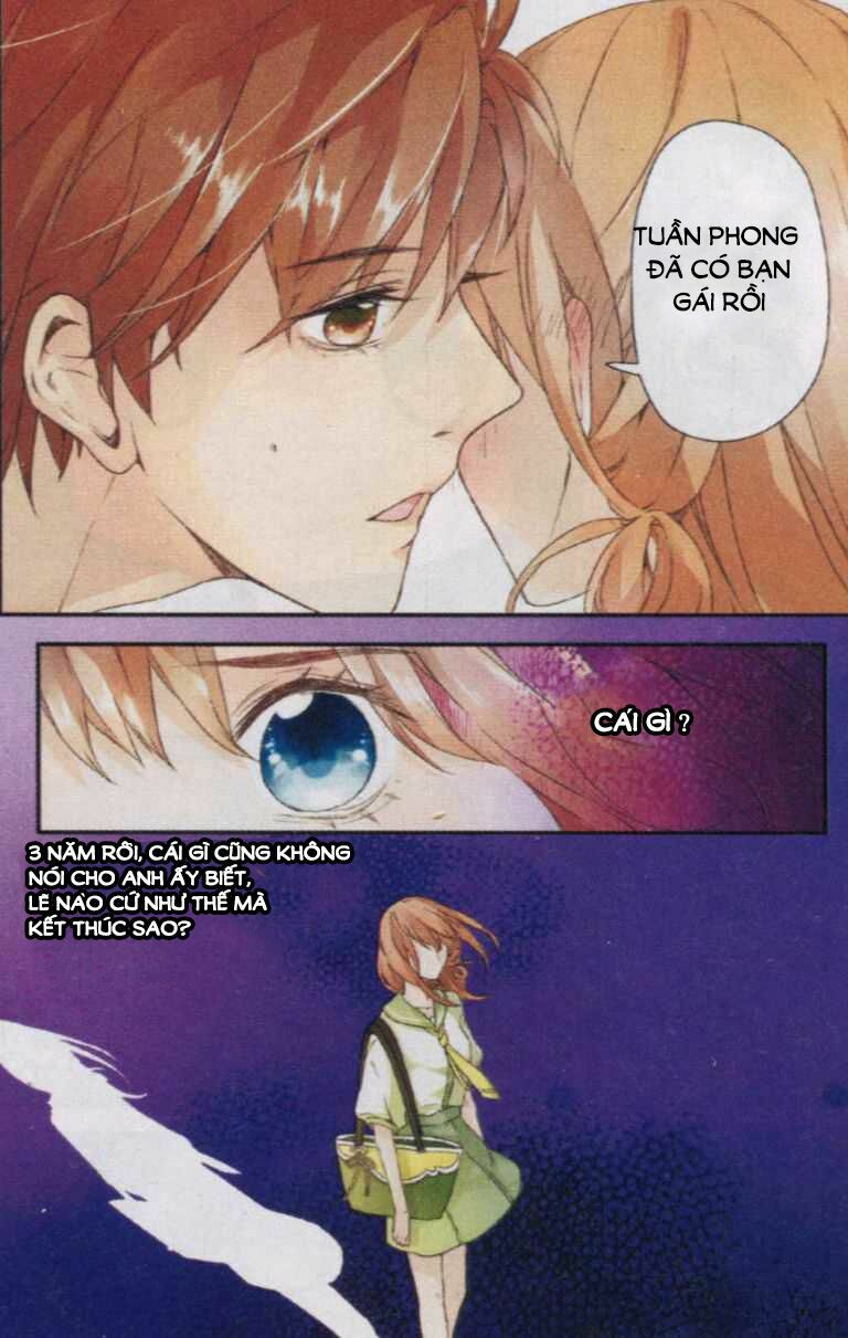 Tình yêu là màu hoa anh thảo: Chapter 2