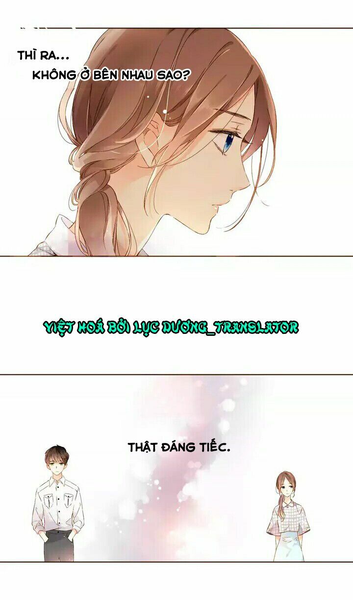 Tình yêu là màu hoa anh thảo: Chapter 28.1