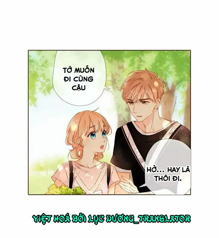Tình yêu là màu hoa anh thảo: Chapter 28.1