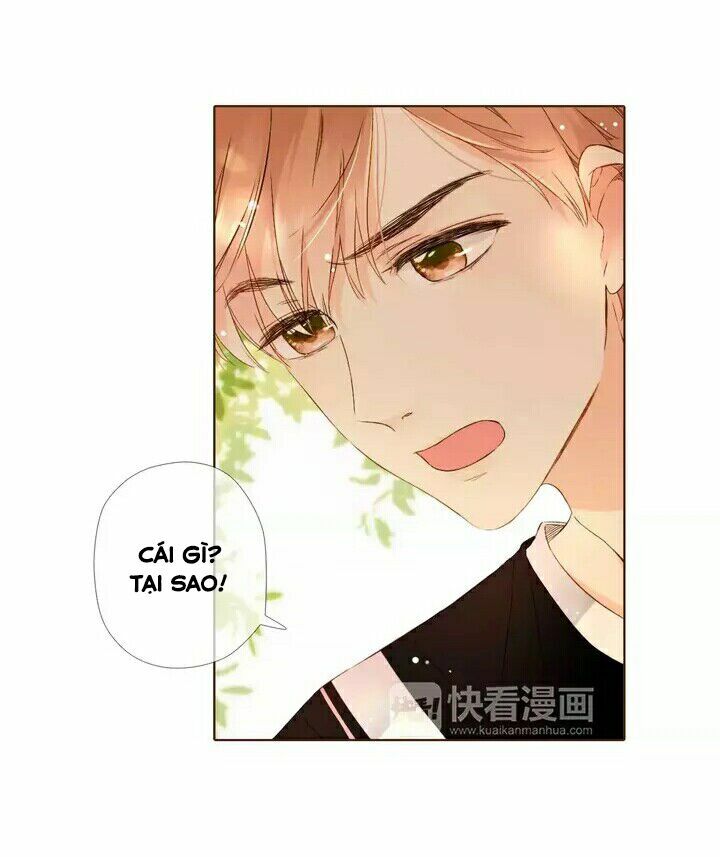 Tình yêu là màu hoa anh thảo: Chapter 28.1