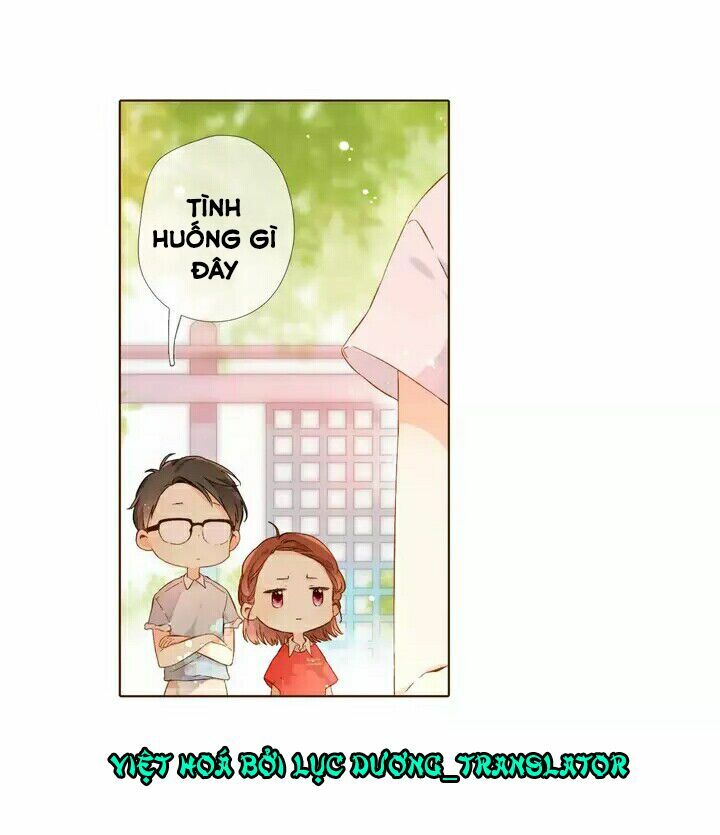 Tình yêu là màu hoa anh thảo: Chapter 28.1