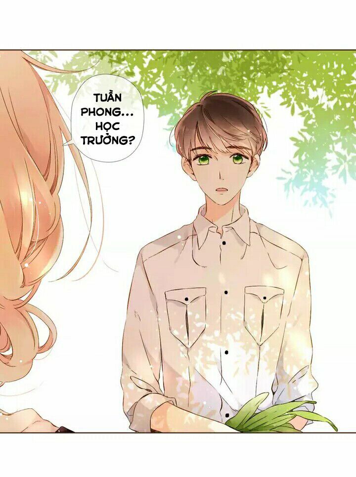 Tình yêu là màu hoa anh thảo: Chapter 28.1