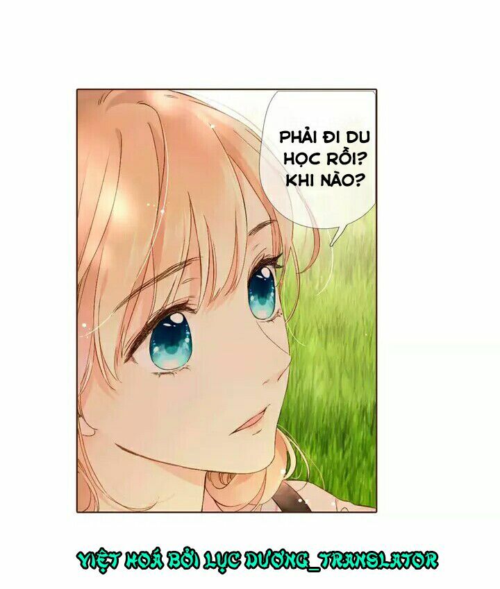 Tình yêu là màu hoa anh thảo: Chapter 28.1