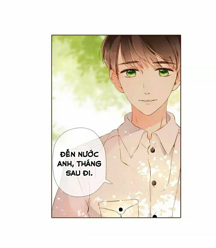 Tình yêu là màu hoa anh thảo: Chapter 28.1