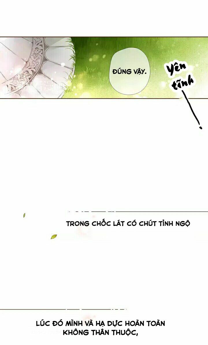Tình yêu là màu hoa anh thảo: Chapter 28.1