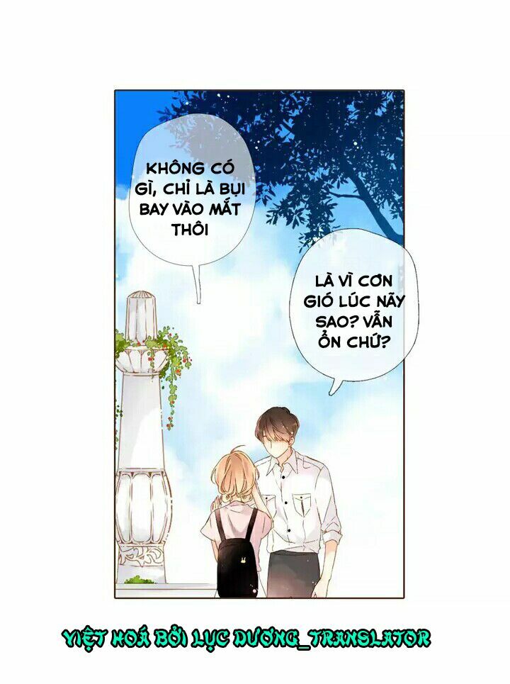 Tình yêu là màu hoa anh thảo: Chapter 28.1