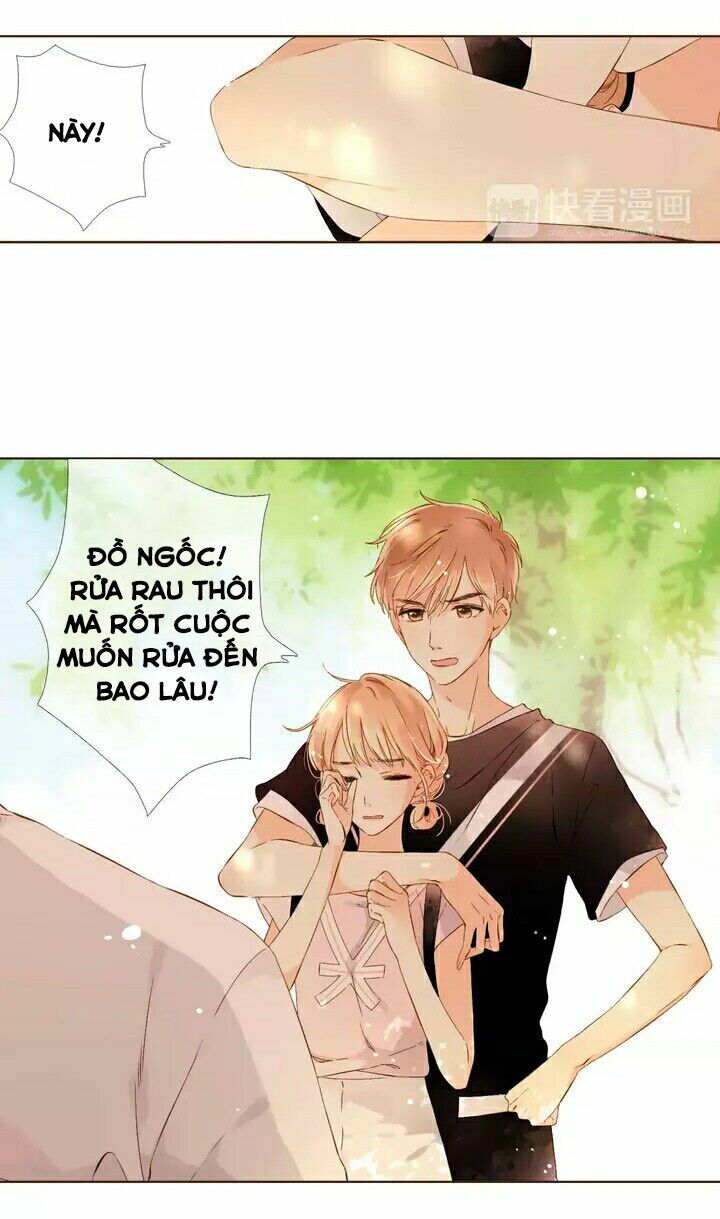 Tình yêu là màu hoa anh thảo: Chapter 28.1