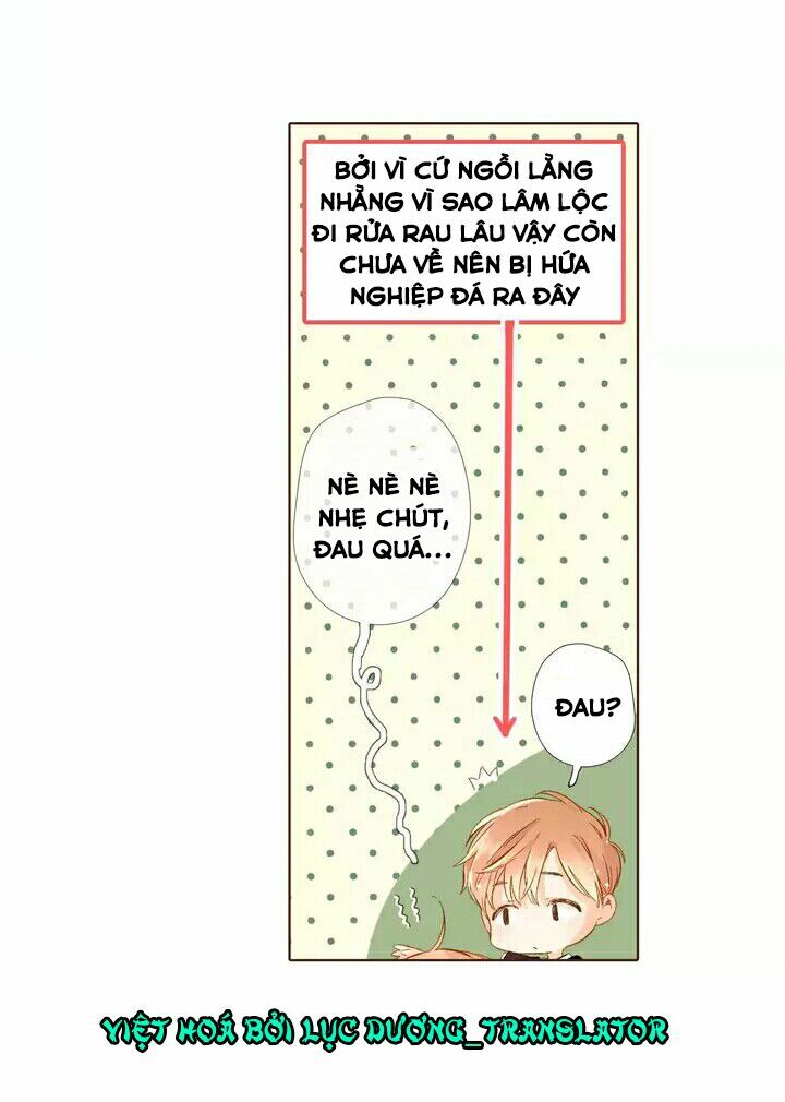 Tình yêu là màu hoa anh thảo: Chapter 28.1