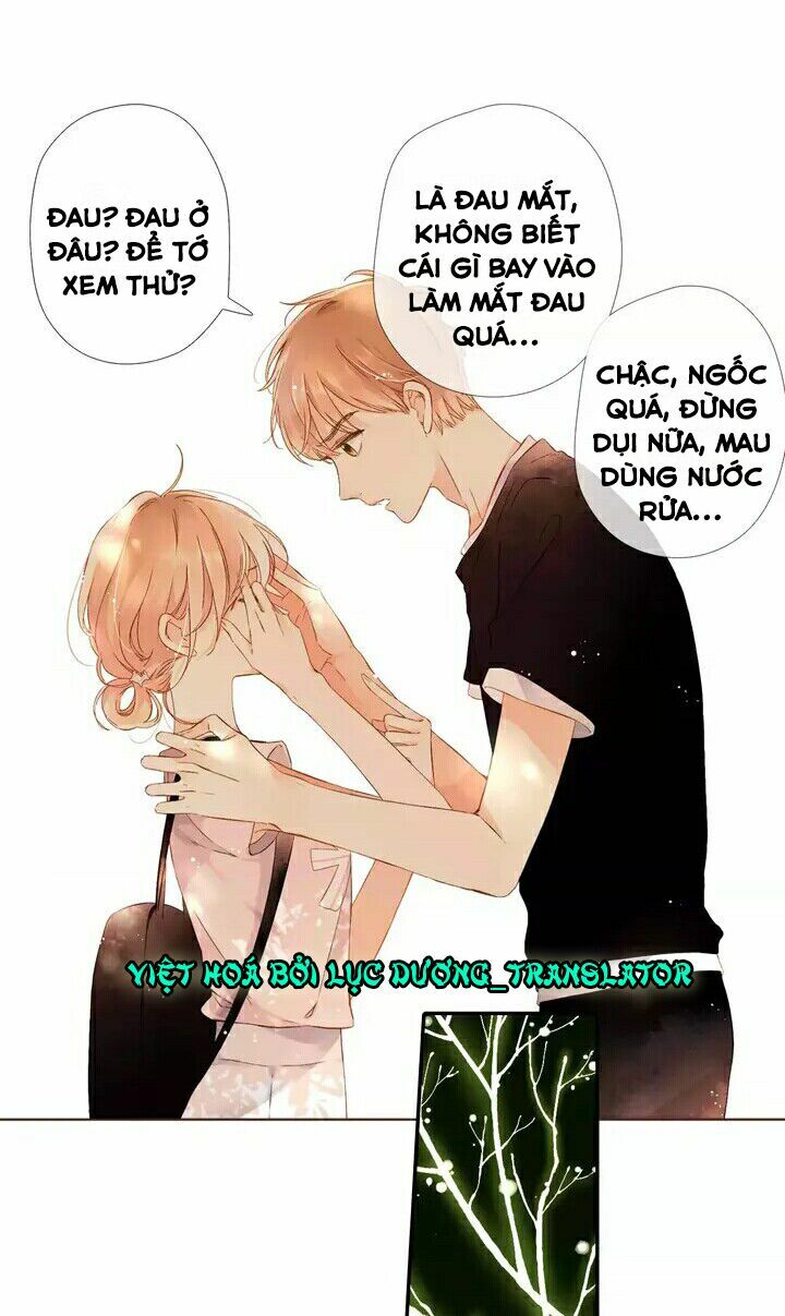 Tình yêu là màu hoa anh thảo: Chapter 28.1