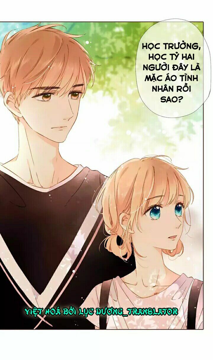 Tình yêu là màu hoa anh thảo: Chapter 28.1