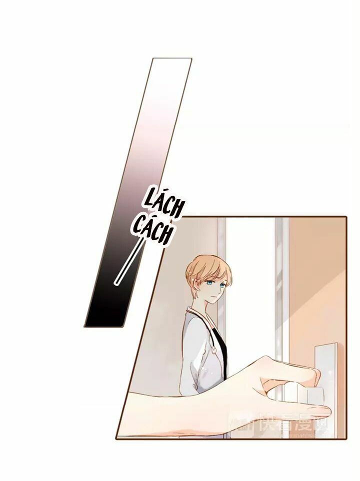 Tình yêu là màu hoa anh thảo: Chapter 31.1