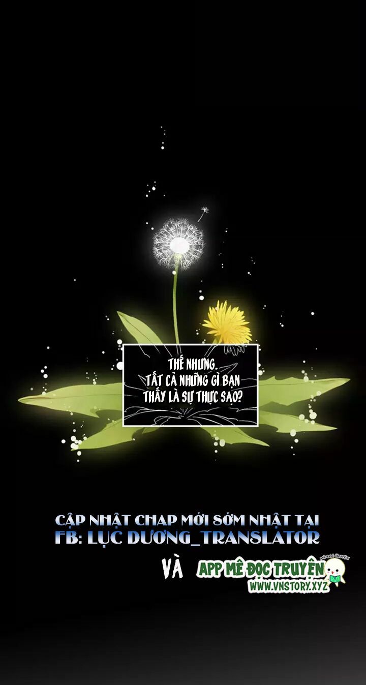 Tình yêu là màu hoa anh thảo: Chapter 31.1