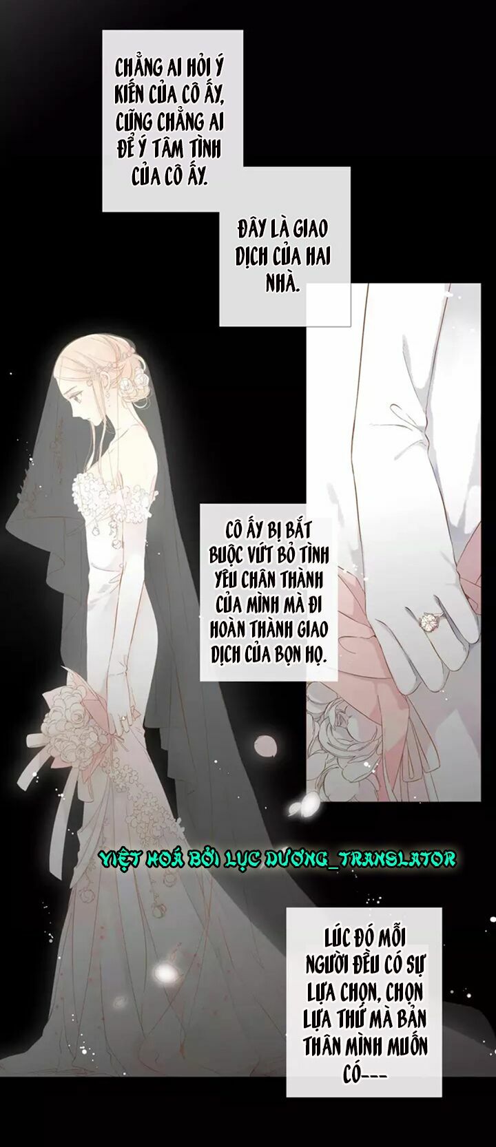 Tình yêu là màu hoa anh thảo: Chapter 31.1