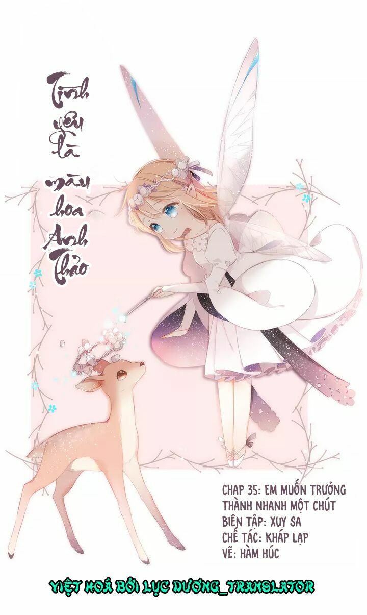 Tình yêu là màu hoa anh thảo: Chapter 35.1