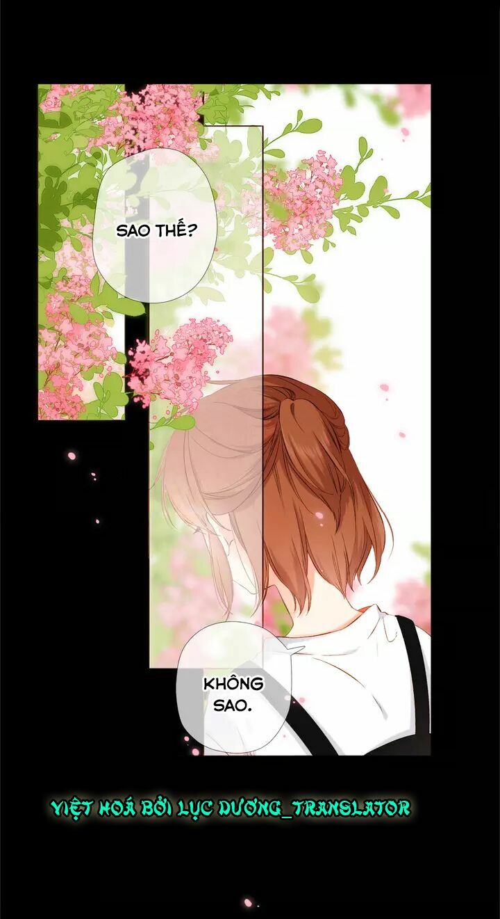 Tình yêu là màu hoa anh thảo: Chapter 35.1