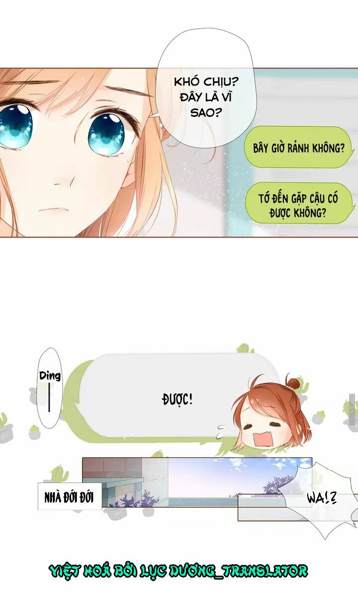 Tình yêu là màu hoa anh thảo: Chapter 35.1