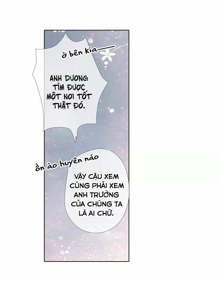 Tình yêu là màu hoa anh thảo: Chapter 35.2