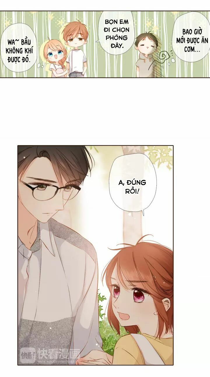 Tình yêu là màu hoa anh thảo: Chapter 35.2