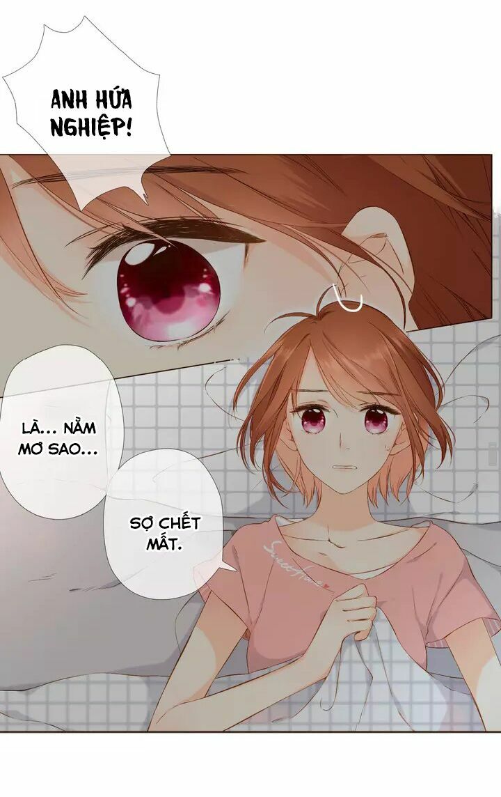 Tình yêu là màu hoa anh thảo: Chapter 35.2