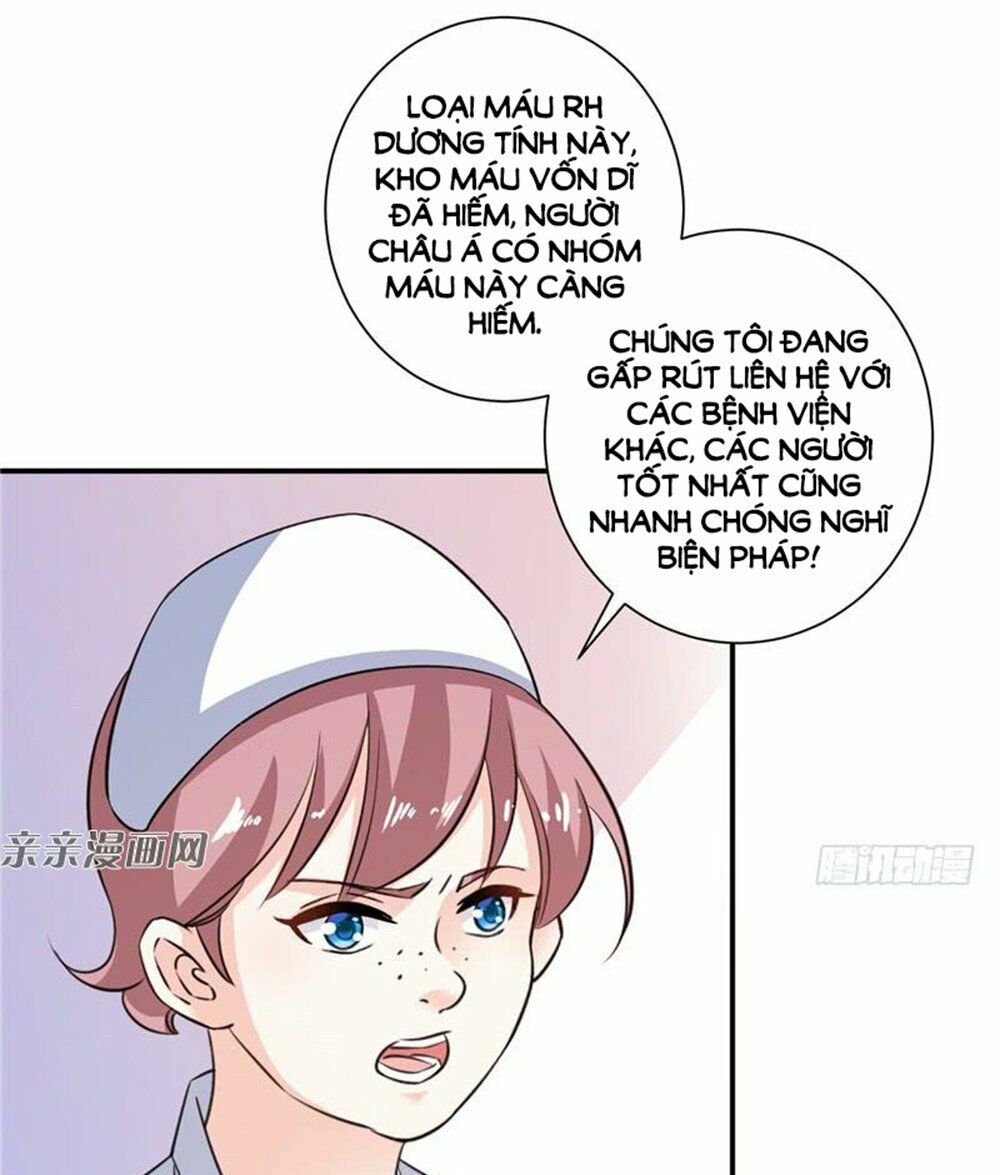 Vợ Yêu Là Báu Vật: Chapter 76