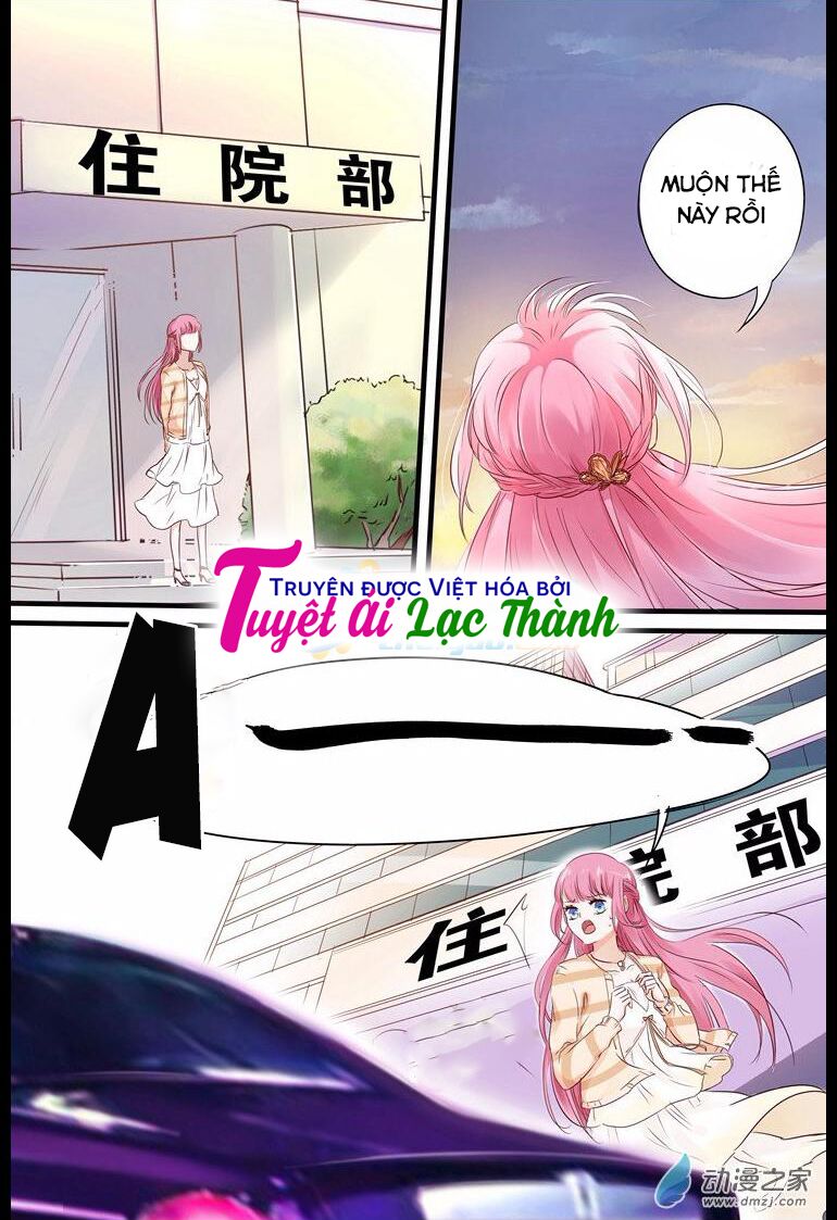 Đế Thiếu Đừng Mạnh Quá: Chapter 12