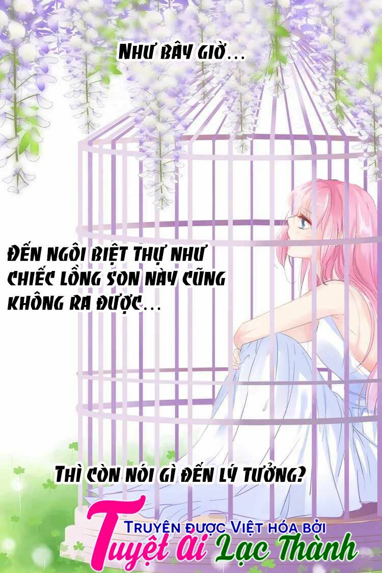 Đế Thiếu Đừng Mạnh Quá: Chapter 29