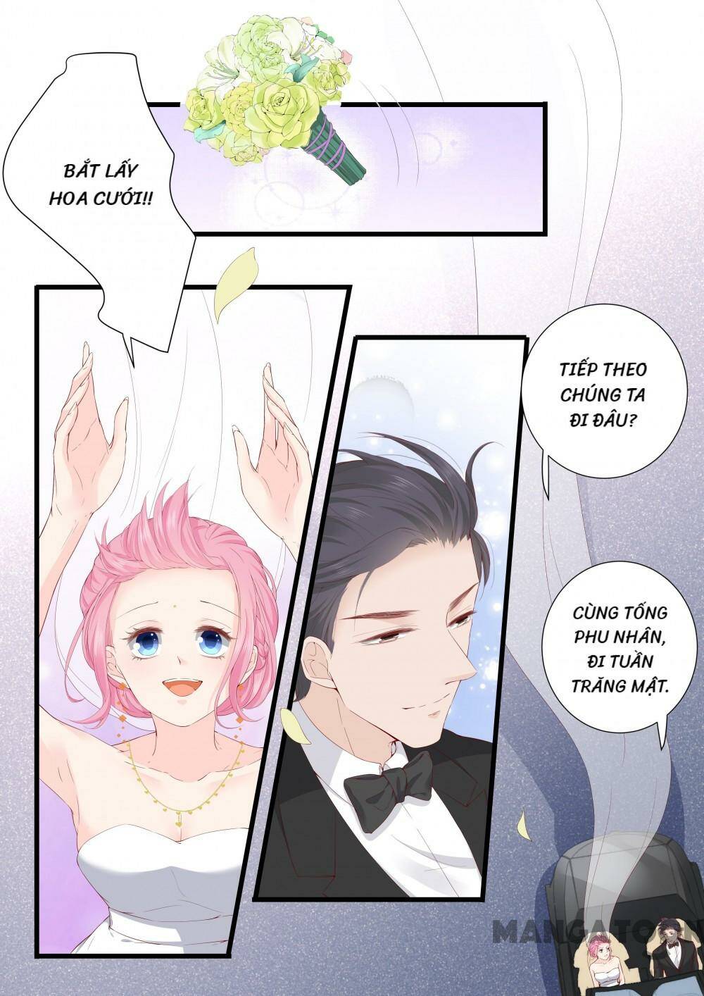 Đế Thiếu Đừng Mạnh Quá: Chapter 333