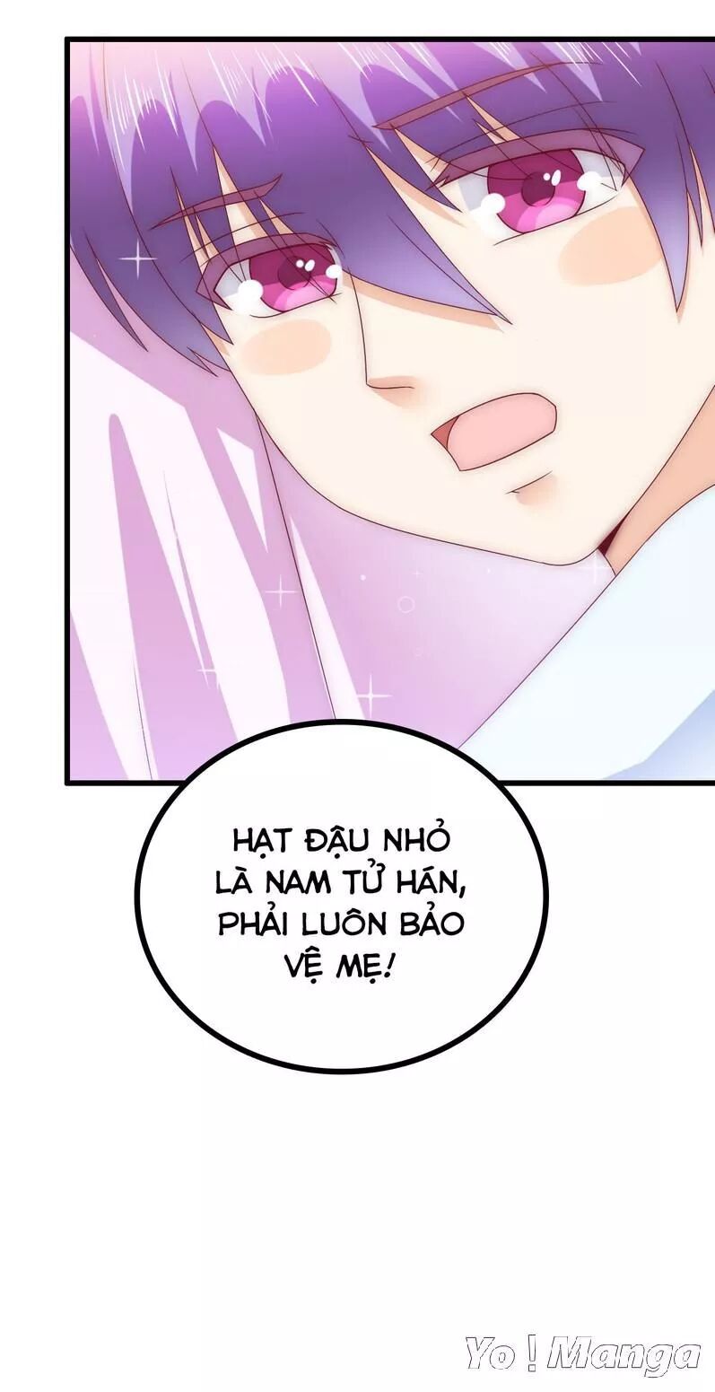 Băng Sơn Tổng Tài Cường Sủng Thê: Chapter 108: Tiểu Đậu Tử Sẽ Bảo Vệ Mẹ