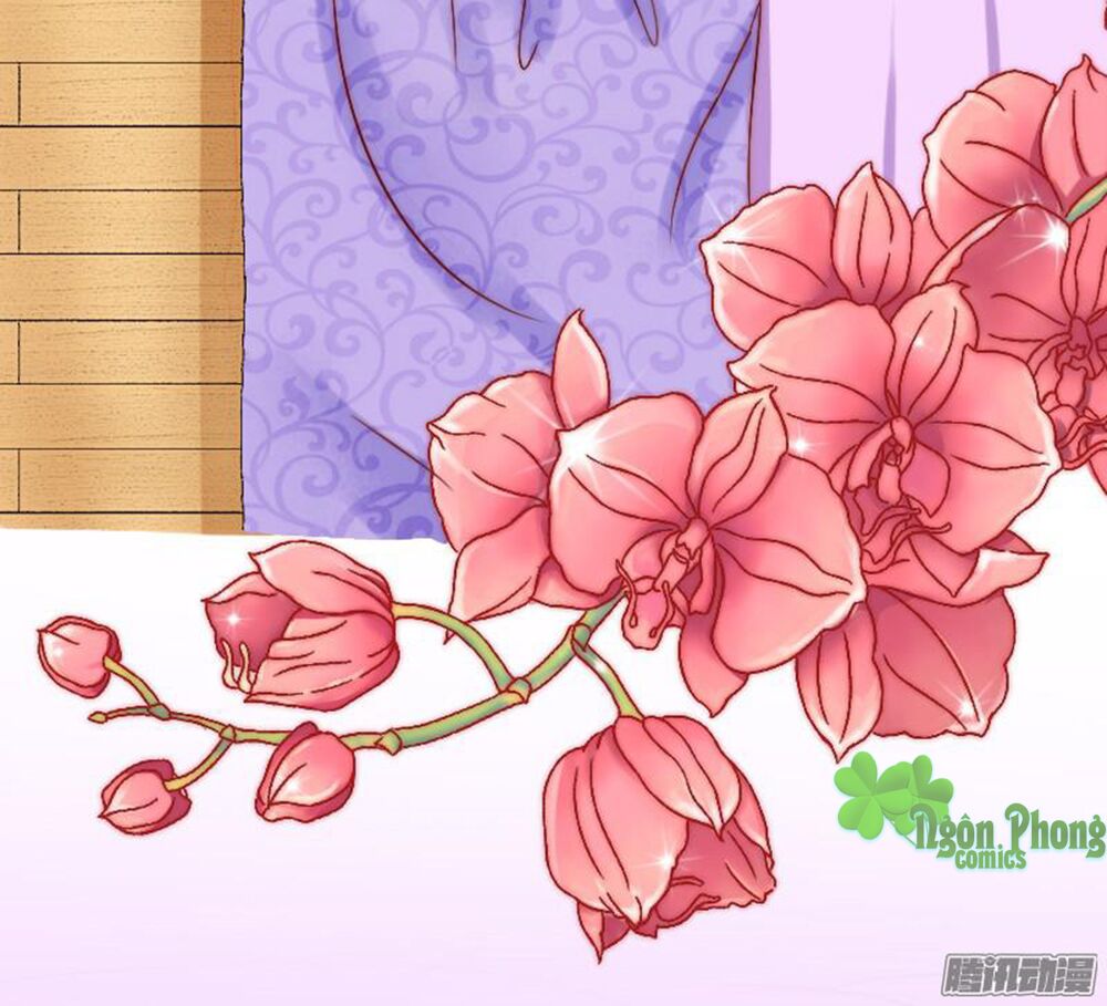 Băng Sơn Tổng Tài Cường Sủng Thê: Chapter 3