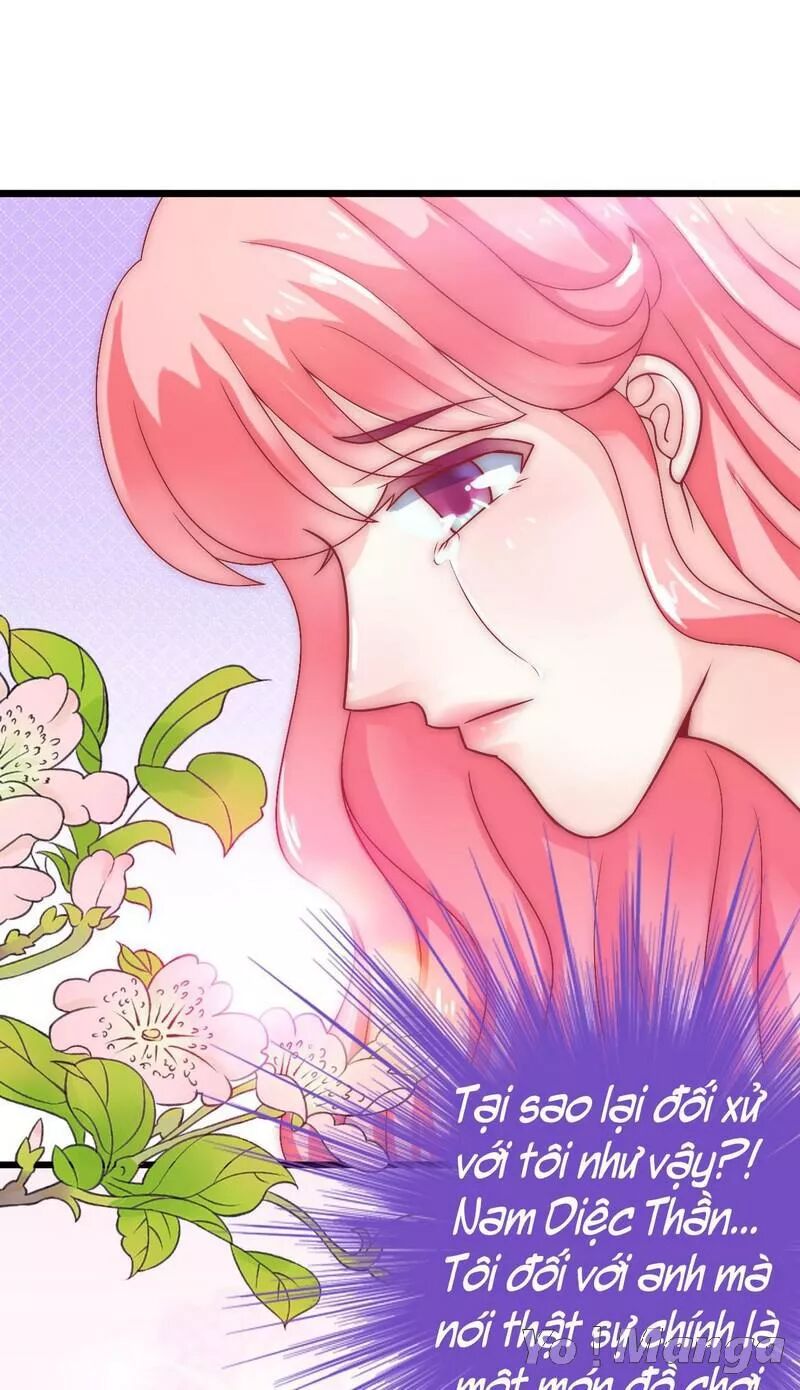 Băng Sơn Tổng Tài Cường Sủng Thê: Chapter 41: Không Muốn Gặp Anh