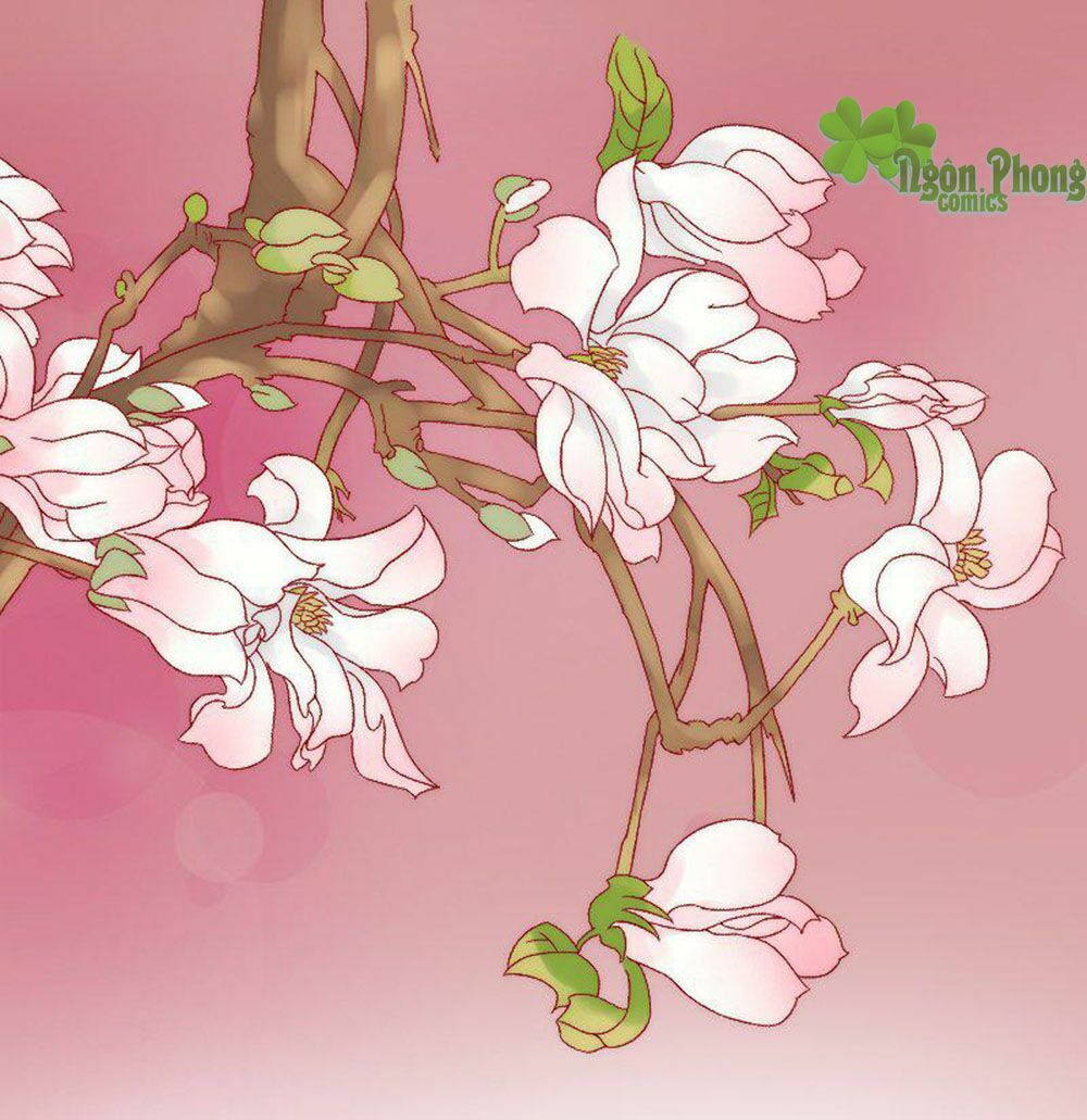 Băng Sơn Tổng Tài Cường Sủng Thê: Chapter 6