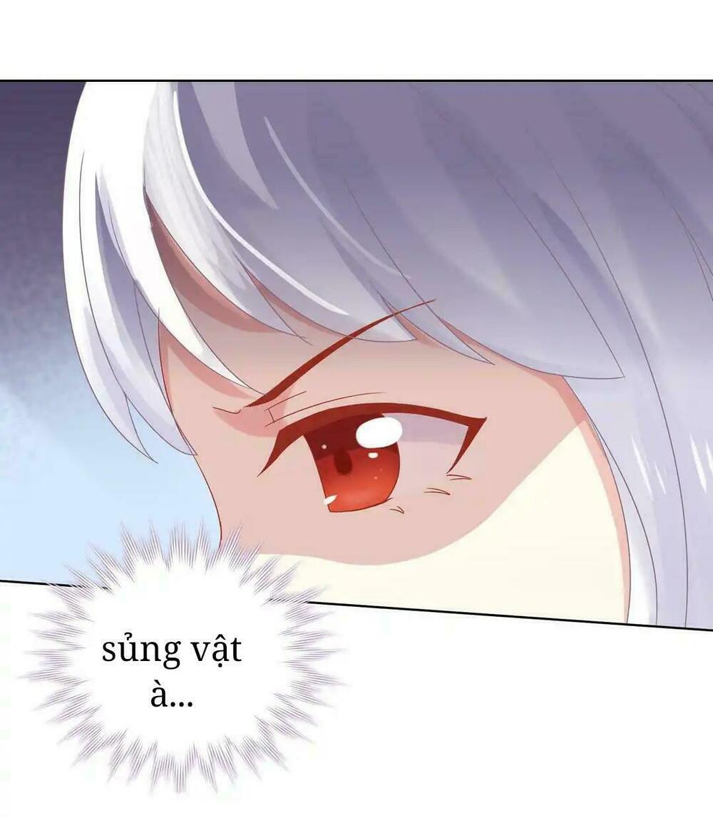 Phi thiên địch tự dưỡng đích khẩu tử: Chapter 11