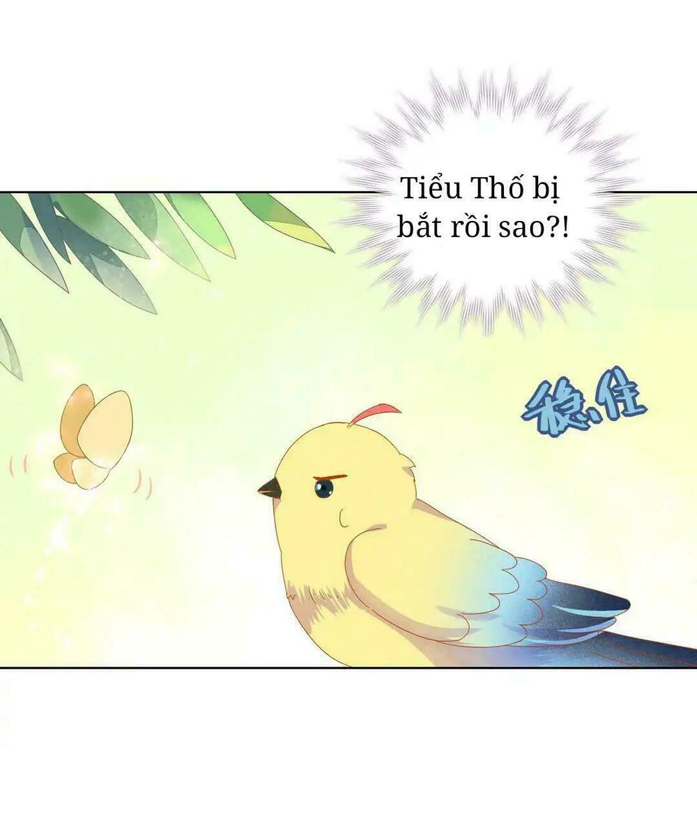 Phi thiên địch tự dưỡng đích khẩu tử: Chapter 13