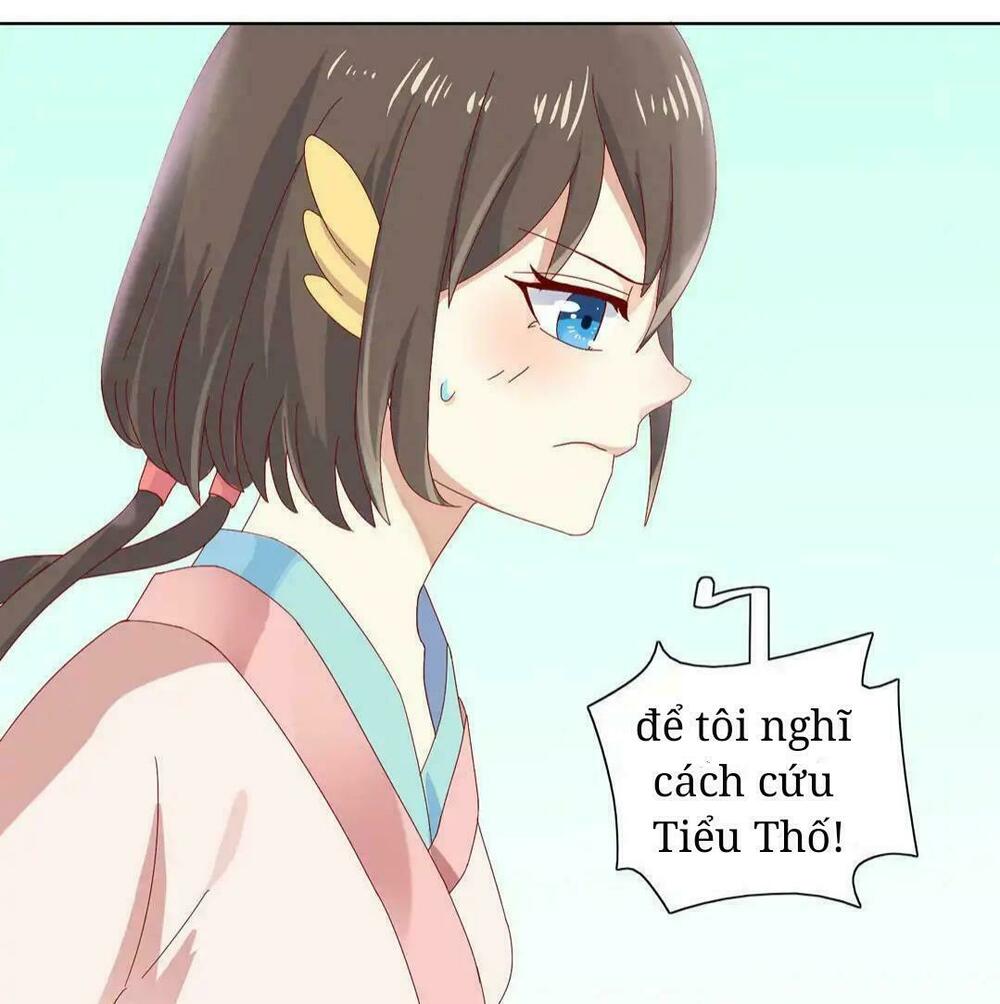 Phi thiên địch tự dưỡng đích khẩu tử: Chapter 13