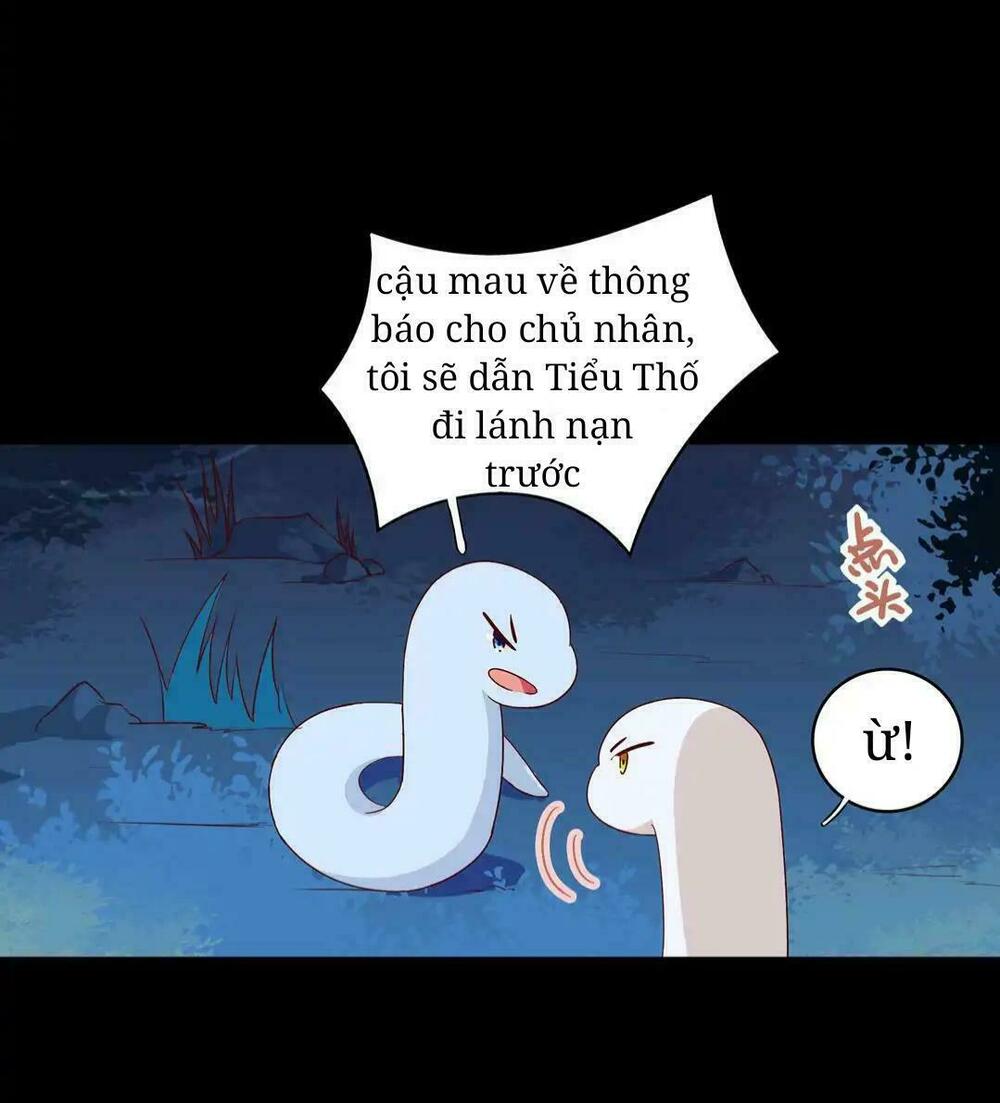 Phi thiên địch tự dưỡng đích khẩu tử: Chapter 19