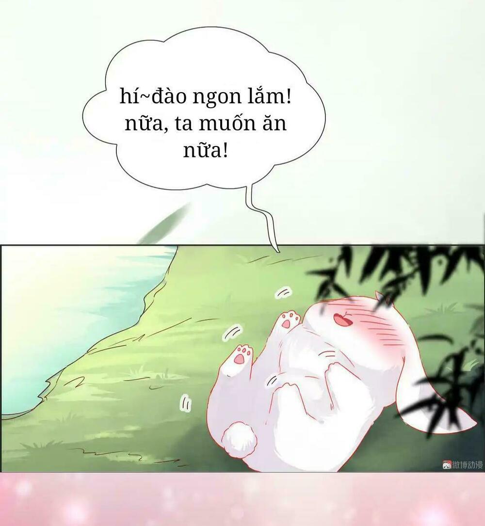 Phi thiên địch tự dưỡng đích khẩu tử: Chapter 2