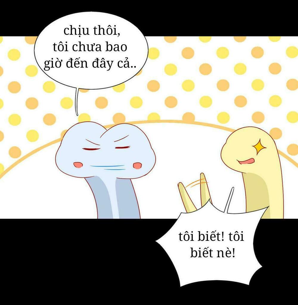 Phi thiên địch tự dưỡng đích khẩu tử: Chapter 20